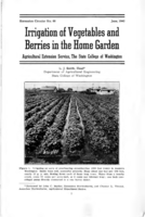 Irrigation of vegetables and berries in the home garden