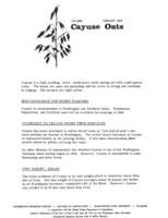 Cayuse oats