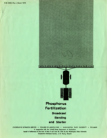 Phosphorus fertilization: broadcast banding and starter