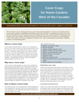 Cover crops for home gardens west of the Cascades