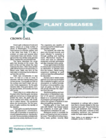 Plant diseases: Crown gall