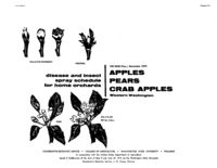 Disease and insect spray program for home gardens: Apples, pears, crab apples: western Washington