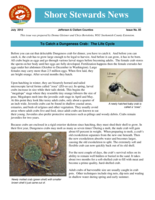 Shore Stewards News, Jefferson and Clallam Counties, WA, Issue 85
