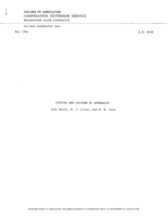 Cutting bed culture of asparagus