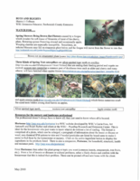 Bugs and Blights, May 2010B