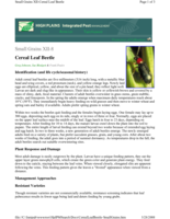 Small grains XII-8: cereal leaf beetle; identification (and life cycle/seasonal history)