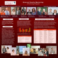 Advance at Washington State University’s external mentoring: A promising program
