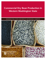 Commercial dry bean production in western Washington state