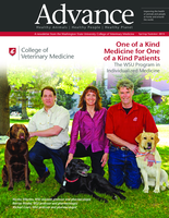 Advance, Spring/Summer 2015