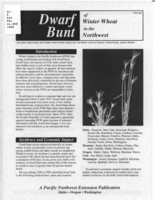 Dwarf bunt of winter wheat in the Northwest