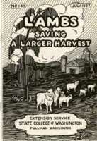 Lambs : saving a larger harvest