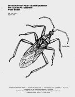 Integrated pest management on alfalfa grown for seed