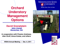 Orchard understory management options