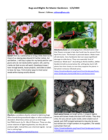 Bugs and Blights, May 3, 2020