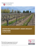 Grapevine management under drought conditions