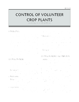 Control of volunteer crop plants