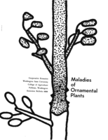 Maladies of ornamental plants