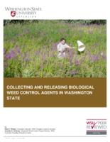 Collecting and releasing biological weed control agents in Washington state