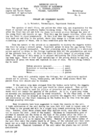 Currant and gooseberry maggots