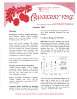 Cranberry Vine, December 2009