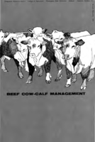 Beef cow-calf management