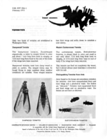 Insect answers: Termites