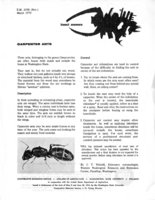 Insect answers: Carpenter ants