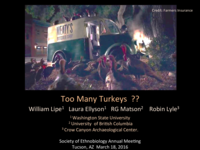 Too Many Turkeys??