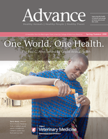 Advance, Spring/Summer 2018