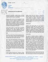 Gardening with blueberries