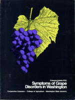 Symptoms of grape disorders in Washington