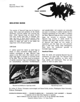 Insect answers: Big-eyed bugs