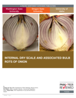 Internal dry scale and associated bulb rots of onion