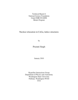Nuclear relaxation in CoGa3 lattice structures