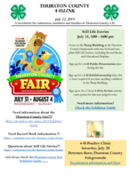 Thurston County 4-H LINK, July 12, 2019