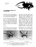 Insect answers: The European crane fly - A lawn pest