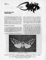 Silver-spotted tiger moth