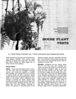 House plant pests