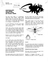 Insect answers: Controlling the green peach aphid on peach trees