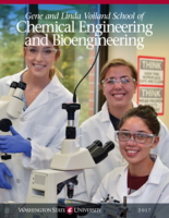 ChEBE Newsletter, 2017