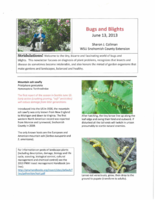 Bugs and Blights, June 13, 2013