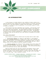 Plant diseases