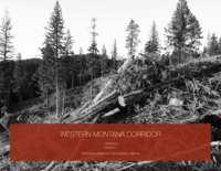 Western Montana Corridor: Overview (Vol. 1)