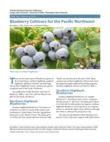 Blueberry cultivars for the Pacific Northwest