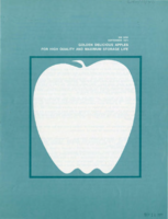 Golden delicious apples for high quality and maximum storage life