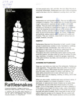 Rattlesnakes