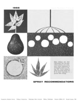 Spray recommendations for tree fruits in eastern Washington