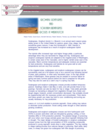 Growing Sudangrass and Sorghum-Sudangrass Crosses in Washington