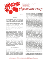 Cranberry Vine, June 1999