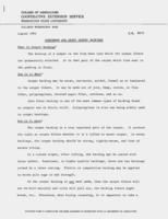 Consumers ask about carpet backings